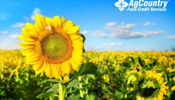 AgCountry Farm Credit Services