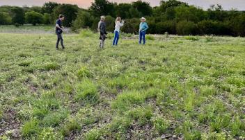 Lone Star Ag Credit