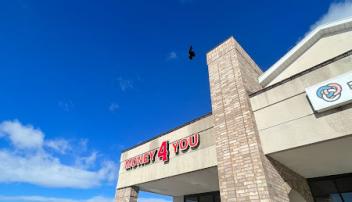 Money 4 You Installment Loans