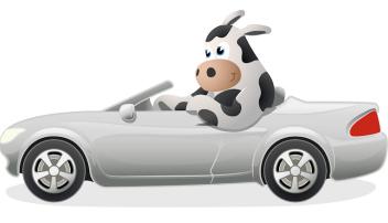 Moo Loans