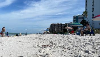 New Florida financial credit union