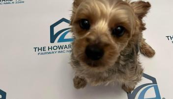 The Howard Team at Fairway NMLS 85438 & 1633389