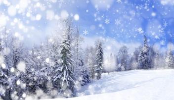 Winter Finance LLC