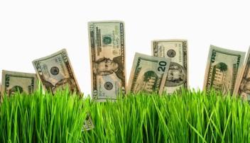 Financial Services & More