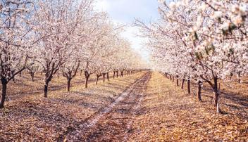 Land Loans USA