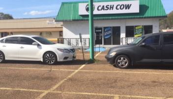 Ez Cash/cash Cow