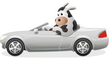 Moo Loans, Car Title Loans North Hollywood