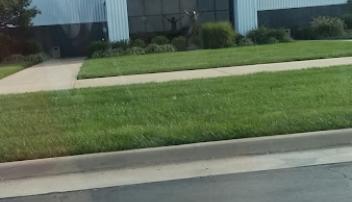 Skyward Credit Union